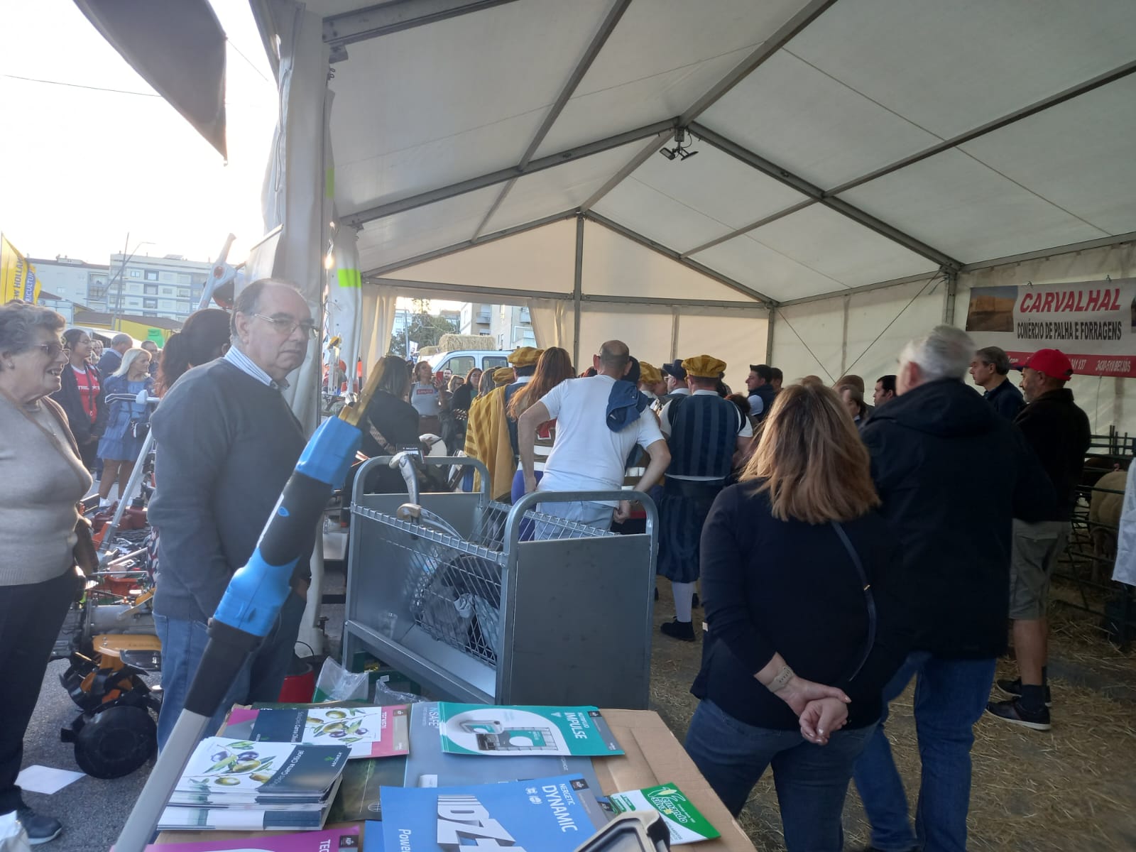 Feira dos Santos 2024