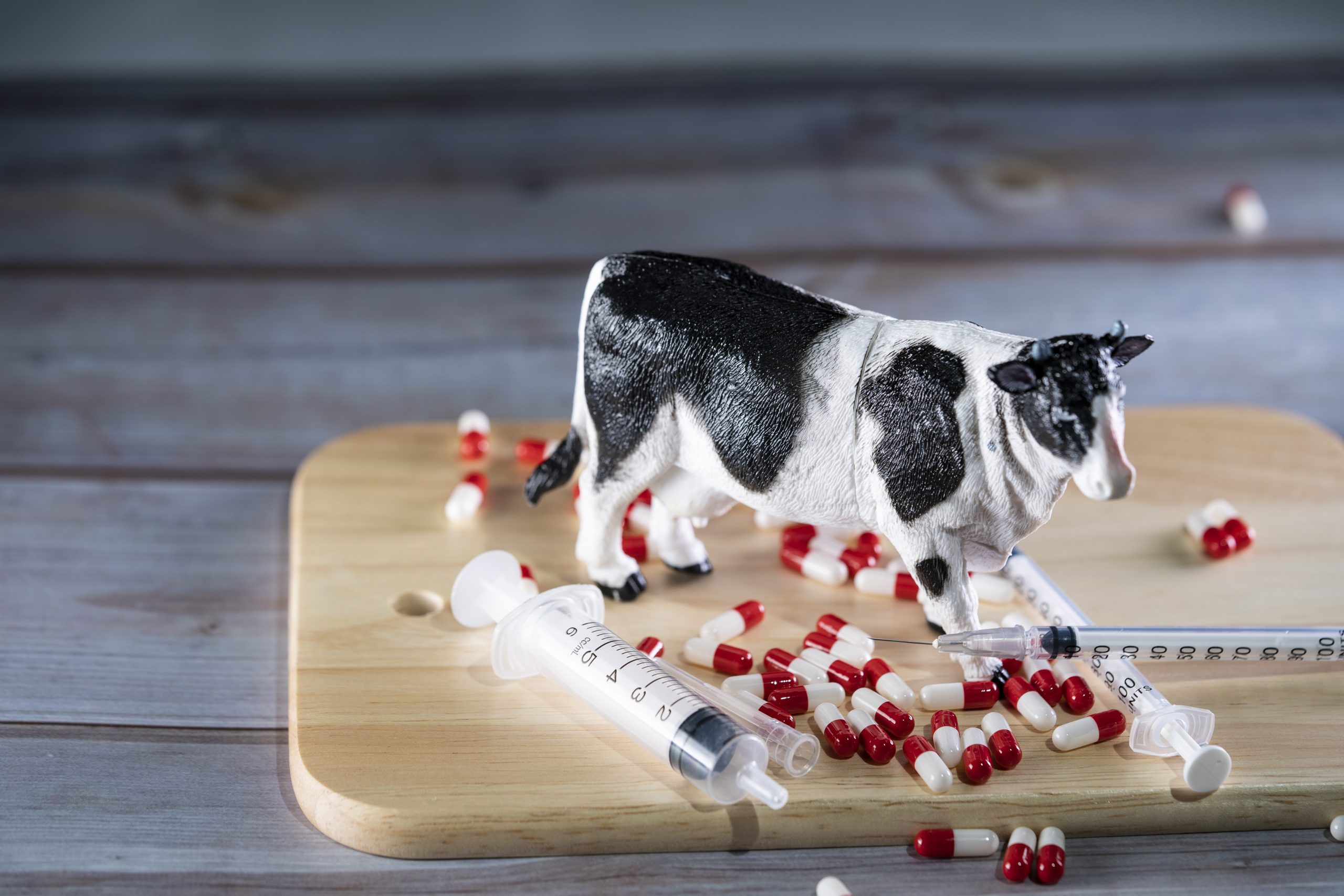 Medicamentos Veterinários Não Sujeitos a Receita Médica